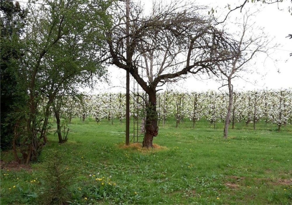 Agriturismo Dosso Al Porto Villa Rolo Kültér fotó