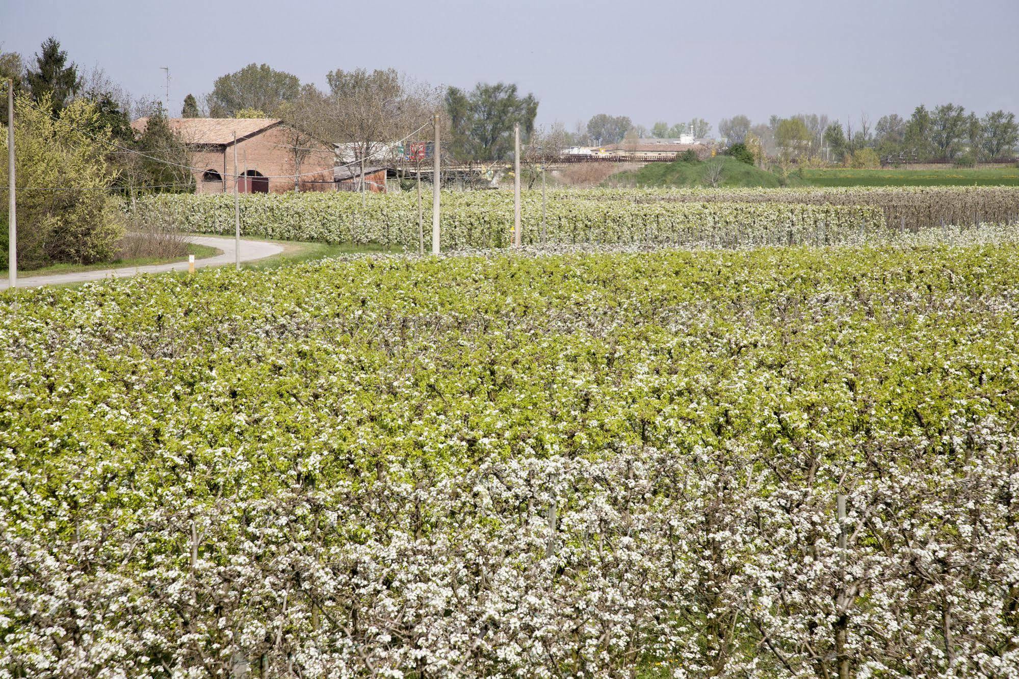 Agriturismo Dosso Al Porto Villa Rolo Kültér fotó