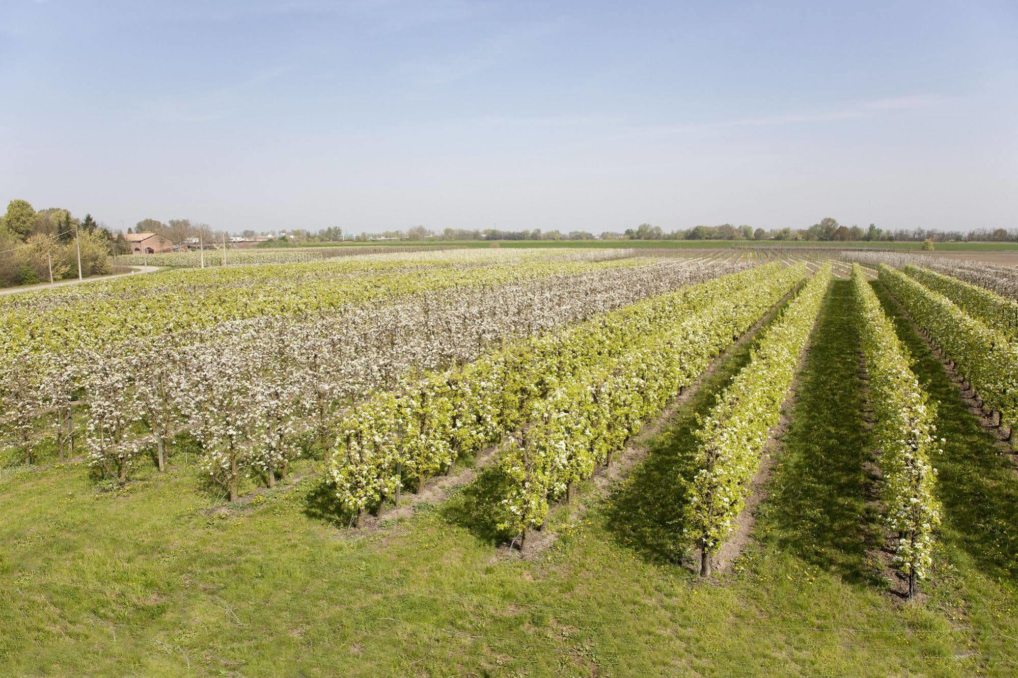 Agriturismo Dosso Al Porto Villa Rolo Kültér fotó